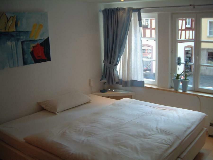 Appartement Kirschgarten ไมนซ์ ภายนอก รูปภาพ
